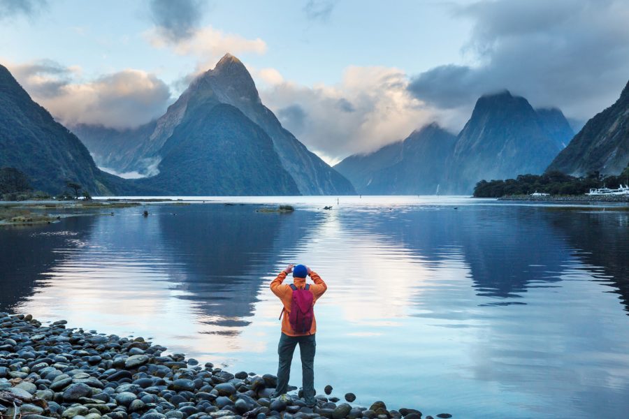 The Ideal Day Date: Milford Sound Scenic Tour